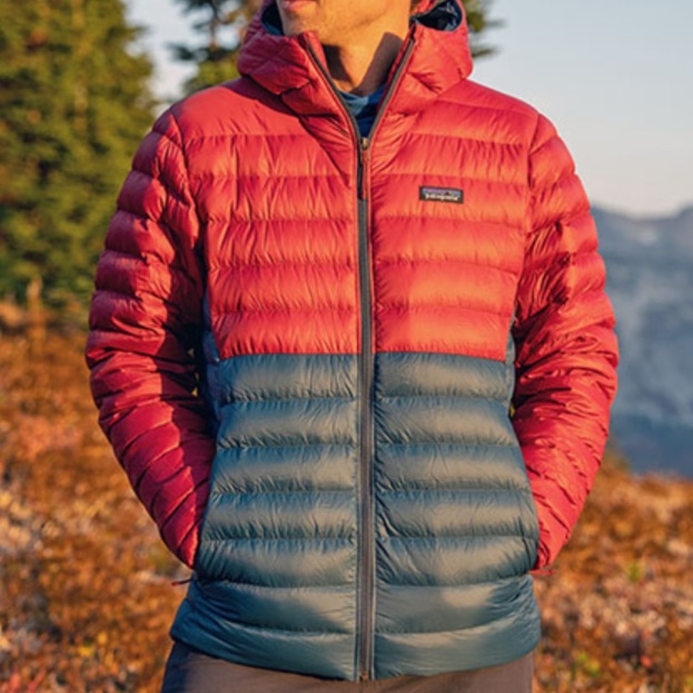 Patagonia Men's Down Sweater Hoody
